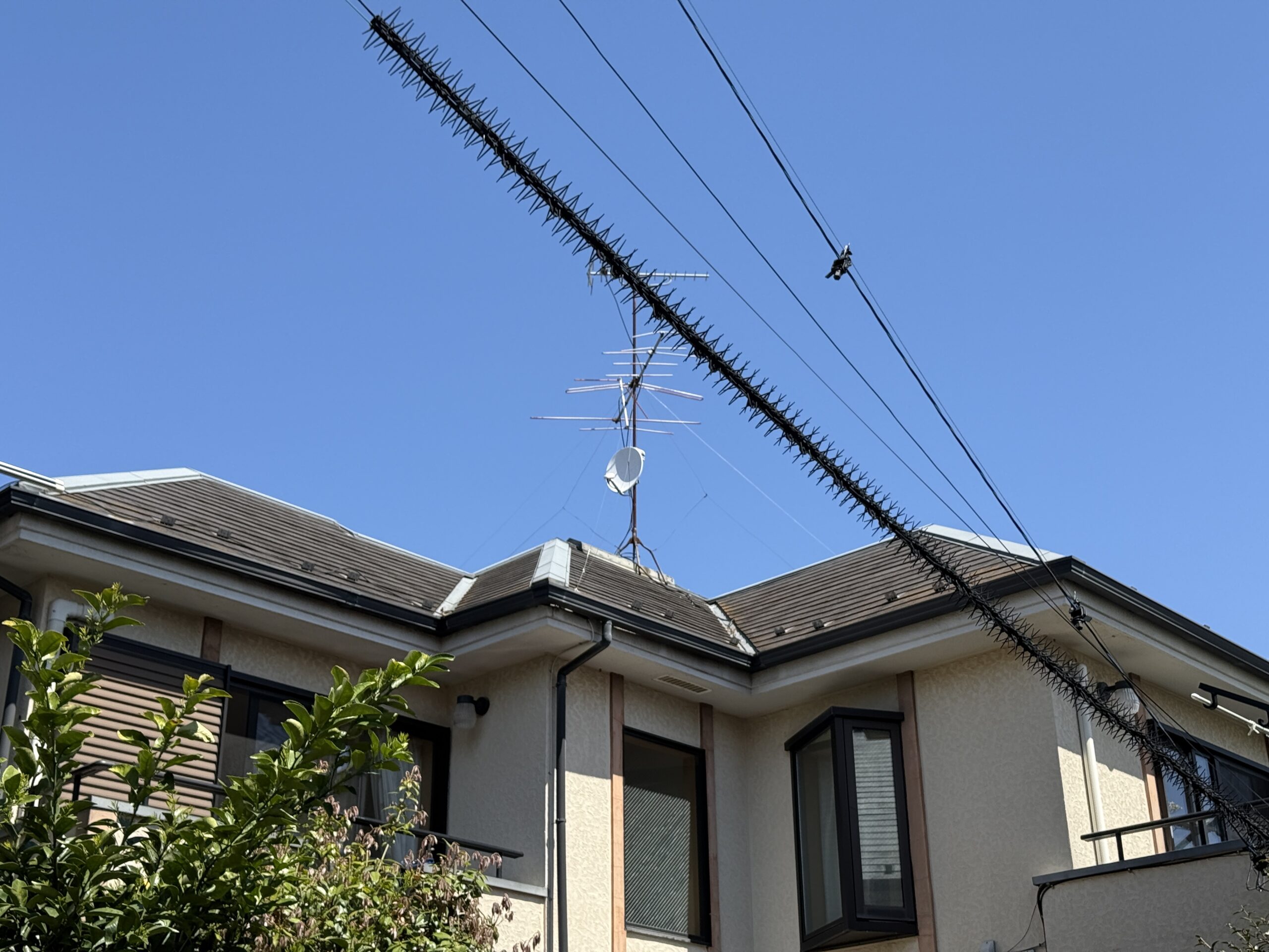 高級住宅街からのどかな沿岸部へ終の棲家としてお住み替え